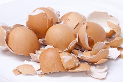 Eggshells_410