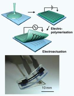 hydrogelelectrode-250