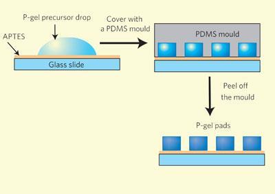 prot-producg-hydrogel-400