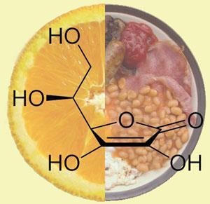 Vitamin C S Anti Cancer Effects May Be Compromised By Fat News Chemistry World