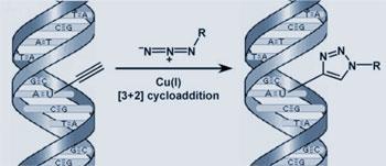 click-DNA-350