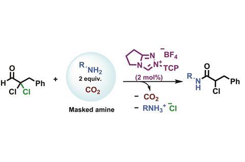 Amine masking strategy