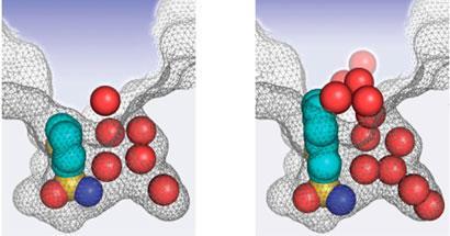 hydrophobic-effects_410