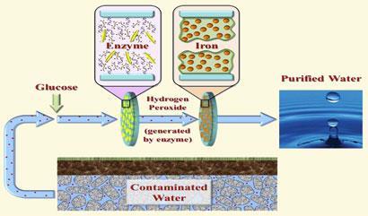 Water purifier harnesses green chemistry-410