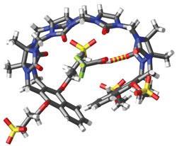 Molecular-container-Fig2_250