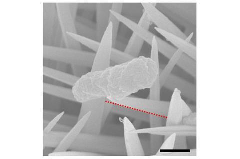 Characterisation of 3D nanoclaws formation - single crystalline