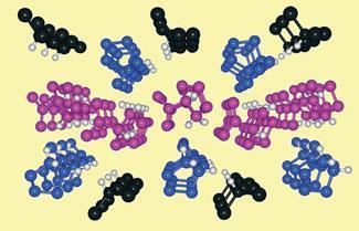 homochirality-325