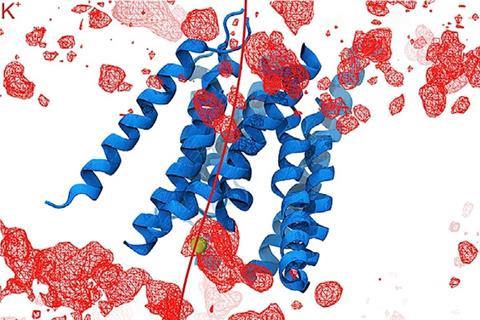 Predicted Architecture of TMC1 and a Putative Pore Region