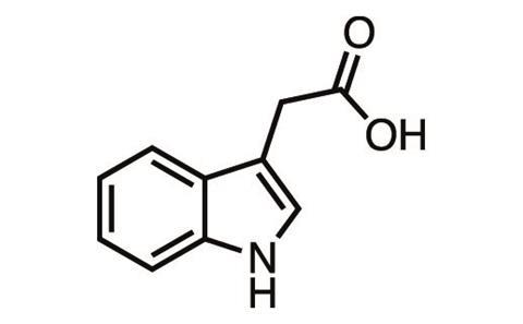 Chemistry of Autumn - Figure 2