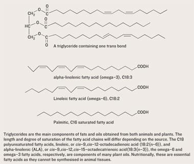 FEATURE trans fats fat structure 350