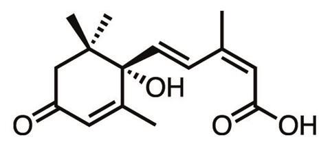 Chemistry of Autumn - Figure 3