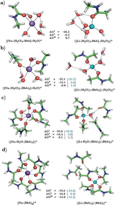 The study assessed the free energies for replacing sodium with lithium ions in protein binding pockets
