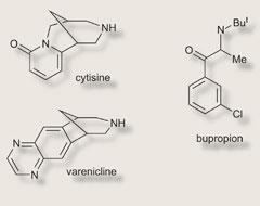 Cytisine smoking cessation drug molecule - Stock Image - F013/0299 -  Science Photo Library