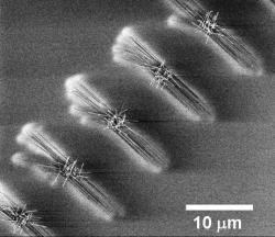 nanowires2-250