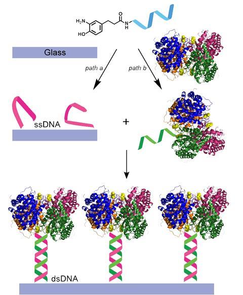 Combining Homogeneous And Heterogeneous Catalysis Feature Chemistry World