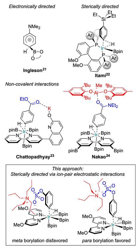 An image showing para C–H borylations