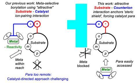 An image showing para-selective Ir-catalyzed borylation approaches