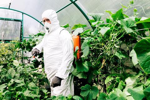 An agricultural worker in protective clothing spraying plants in a greenhouse