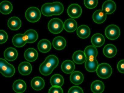 cells-dividing-99268714-thinkstock_410