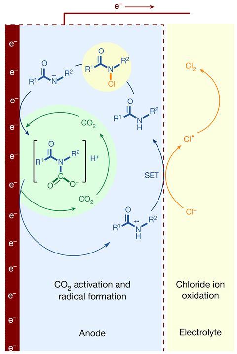 Un diagramme à l'anode dans une réaction d'électrolyse montrant le cycle qu'un catalyseur organique traverse avec du dioxyde de carbone tout en oxydant les ions chlorure