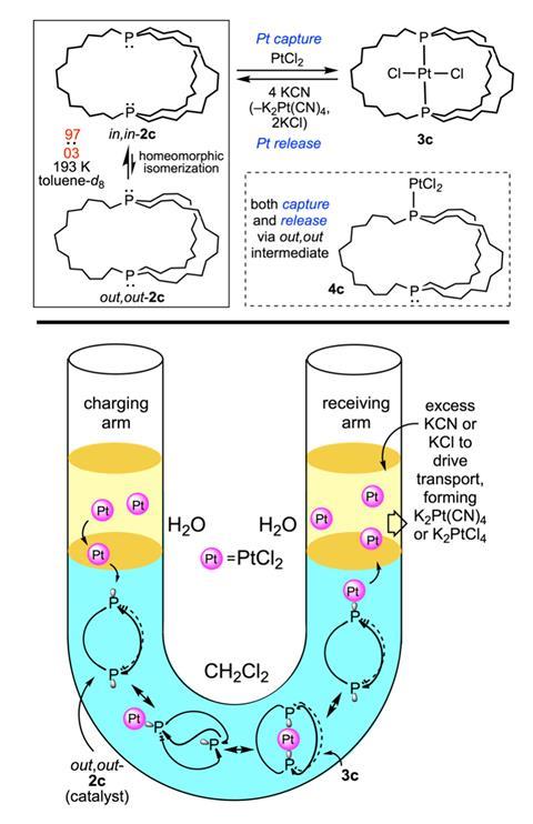 A diagram showing a reaction in a u-shaped test tube
