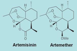 artemesinin-300