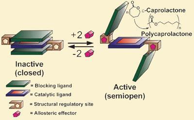 Mirkin-catalysts-400