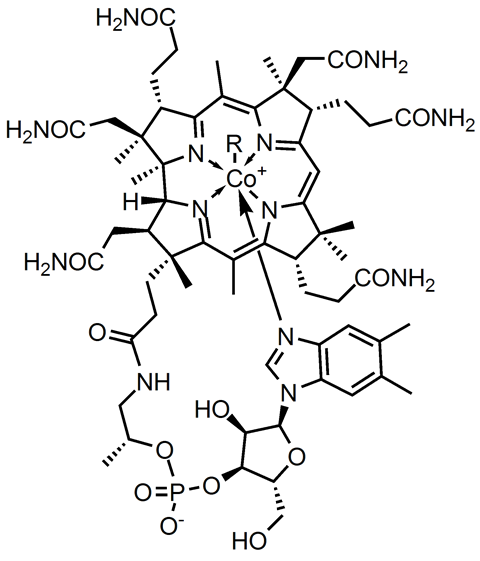 Structure of cobalamin – vitamin B12