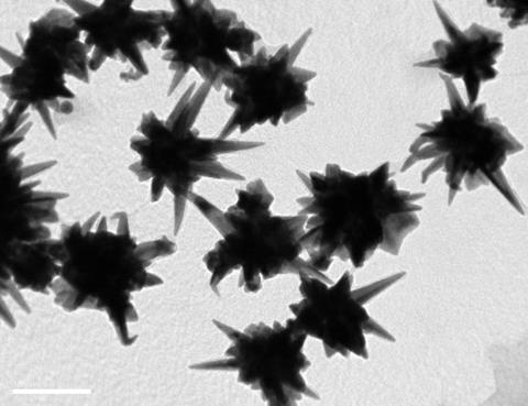 star-shaped nanoparticles