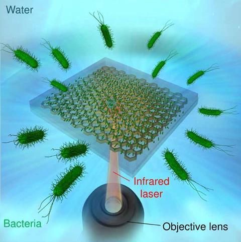 An image showing the LIA of the bacteria