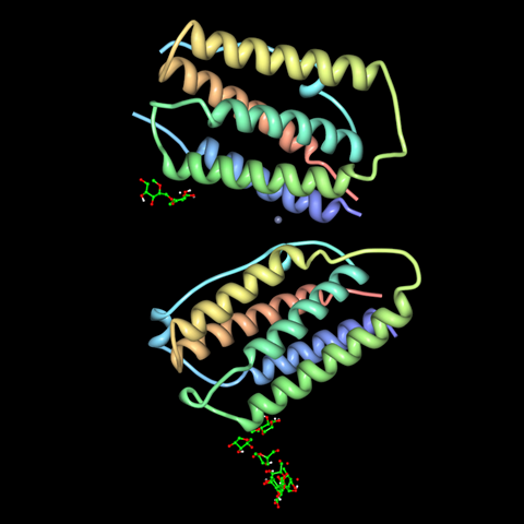 Human interferon beta protein structure