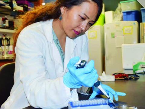 A scientist working in a lab