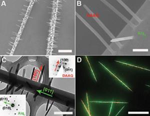 Green-nanowires_ja209815f-fig2_300