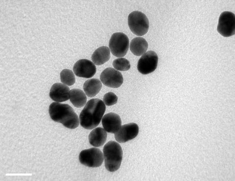 spherical nanoparticles