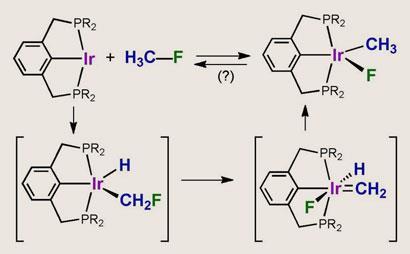 Flourine_410