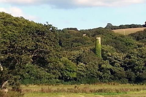 The overgrown South Terras mine, showing the chimney amongst trees