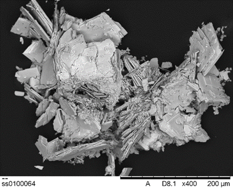 SEM image of metazeunerite