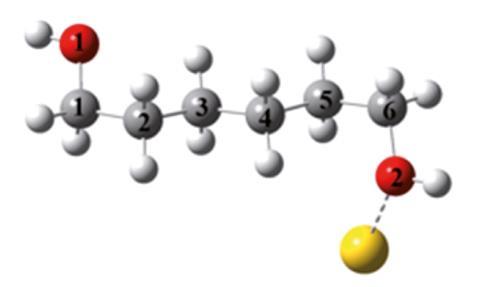 An image showing the hexanediol–gold complex