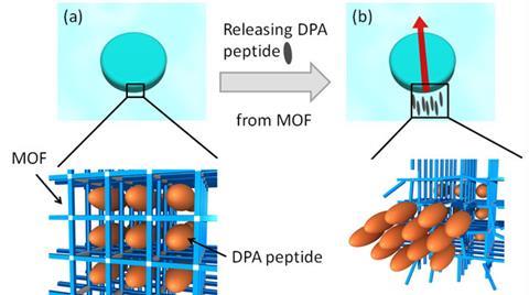 MOF motor