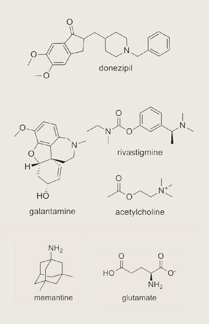 Feature_Alzheimers_MainImage_p52b_410