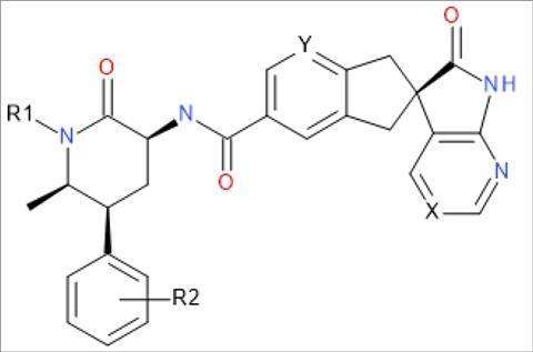 A typical Markush structure