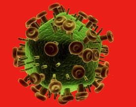 HIV-virus-275