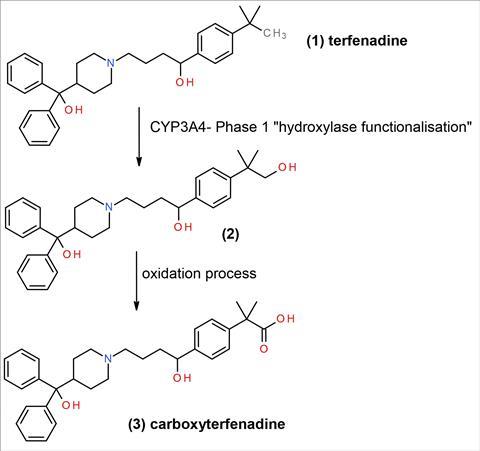 The metabolism of terfenadine