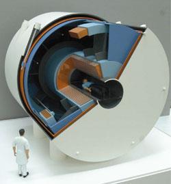 FEATURE-MRI-250