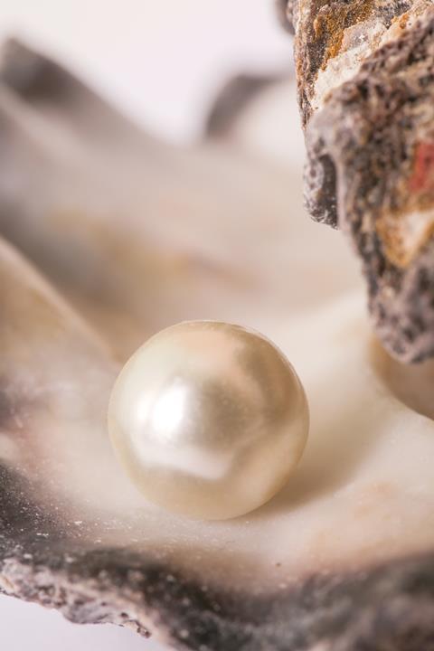 Single pearl in an oyster shell
