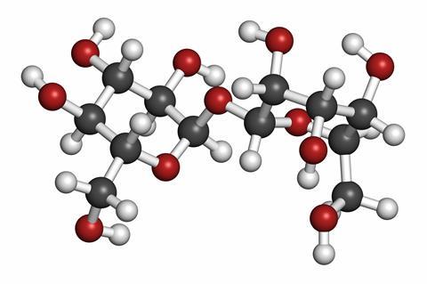 Trehalose (mycose, tremalose) sugar molecule. Atoms are represented as spheres with conventional color coding: hydrogen (white), carbon (grey), oxygen (red)