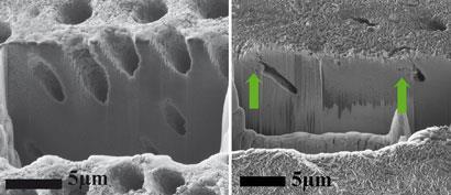 dental enamel regeneration