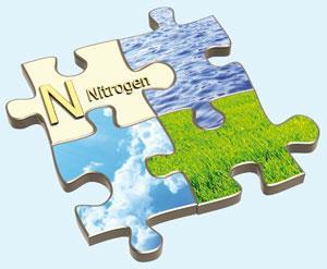 FEATURE-Nitrogen-cycle-300