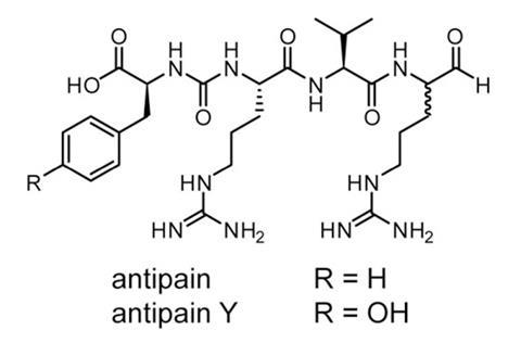 Labelling NPs fig4c