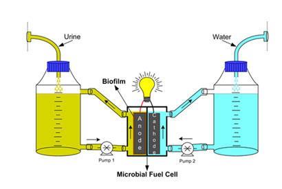 urine-fuel-cells_410